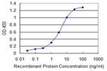 LASS4 Antibody in ELISA (ELISA)