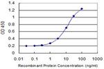 DUSP16 Antibody in ELISA (ELISA)