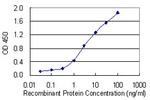 H2AFV Antibody in ELISA (ELISA)