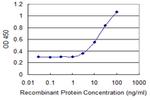 C14orf126 Antibody in ELISA (ELISA)