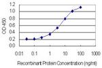 HKR1 Antibody in ELISA (ELISA)