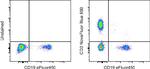 CD3 Antibody in Flow Cytometry (Flow)