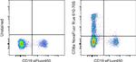 CD8a Antibody in Flow Cytometry (Flow)