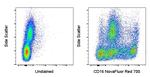 CD16 Antibody in Flow Cytometry (Flow)