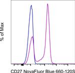 CD27 Antibody in Flow Cytometry (Flow)