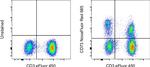 CD73 Antibody in Flow Cytometry (Flow)