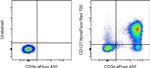 CD127 Antibody in Flow Cytometry (Flow)