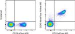 CD40 Antibody in Flow Cytometry (Flow)