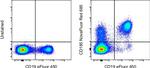 CD185 (CXCR5) Antibody in Flow Cytometry (Flow)