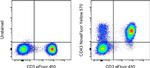 CD43 Antibody in Flow Cytometry (Flow)