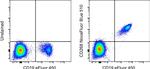 CD268 (BAFF Receptor) Antibody in Flow Cytometry (Flow)