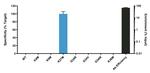 H3.3 K27M oncohistone mutant Antibody