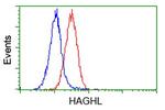 HAGHL Antibody in Flow Cytometry (Flow)