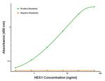 HES1 Antibody in ELISA (ELISA)