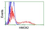 HMOX2 Antibody in Flow Cytometry (Flow)