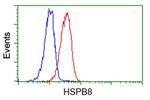 HSPB8 Antibody in Flow Cytometry (Flow)