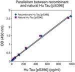 Human Tau (Phospho) [pS396] ELISA Kit