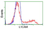 L1CAM Antibody in Flow Cytometry (Flow)