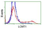 LCMT1 Antibody in Flow Cytometry (Flow)