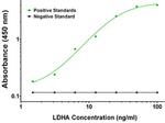 LDHA Antibody in ELISA (ELISA)