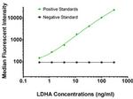 LDHA Antibody in Luminex (LUM)