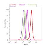 Ubiquitin Antibody in Flow Cytometry (Flow)