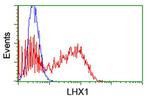 LHX1 Antibody in Flow Cytometry (Flow)