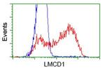 LMCD1 Antibody in Flow Cytometry (Flow)