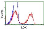 LOX Antibody in Flow Cytometry (Flow)