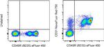 CD31 (PECAM-1) Antibody in Flow Cytometry (Flow)