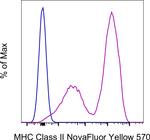 MHC Class II (I-A/I-E) Antibody in Flow Cytometry (Flow)