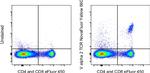 TCR V alpha 2 Antibody in Flow Cytometry (Flow)