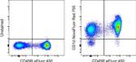 CD1d Antibody in Flow Cytometry (Flow)