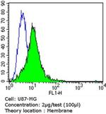 PSD-95 Antibody in Flow Cytometry (Flow)