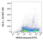 I-A/I-E Antibody in Flow Cytometry (Flow)