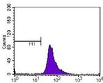 HIF-2 alpha Antibody in Flow Cytometry (Flow)