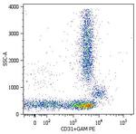 CD31 Antibody in Flow Cytometry (Flow)