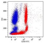 CD58 Antibody in Flow Cytometry (Flow)