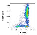 CD62L Antibody in Flow Cytometry (Flow)