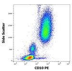 CD10 Antibody in Flow Cytometry (Flow)