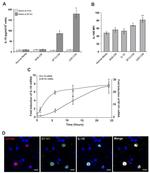 IL-10 Antibody in Immunohistochemistry (IHC)