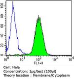 PDI Antibody in Flow Cytometry (Flow)