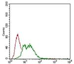 Fibrillarin Antibody in Flow Cytometry (Flow)