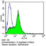 CD56 Antibody in Flow Cytometry (Flow)