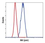 AKT Pan Antibody in Flow Cytometry (Flow)