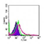 TLR4 Antibody in Flow Cytometry (Flow)