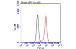 PEX19 Antibody in Flow Cytometry (Flow)