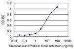 Nebulin Antibody in ELISA (ELISA)