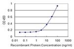 TRIM26 Antibody in ELISA (ELISA)