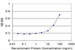 BAG4 Antibody in ELISA (ELISA)